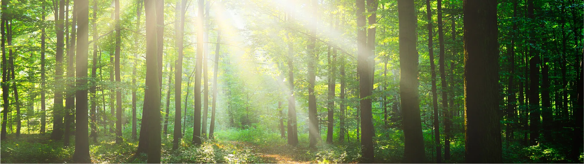 環境方針イメージ